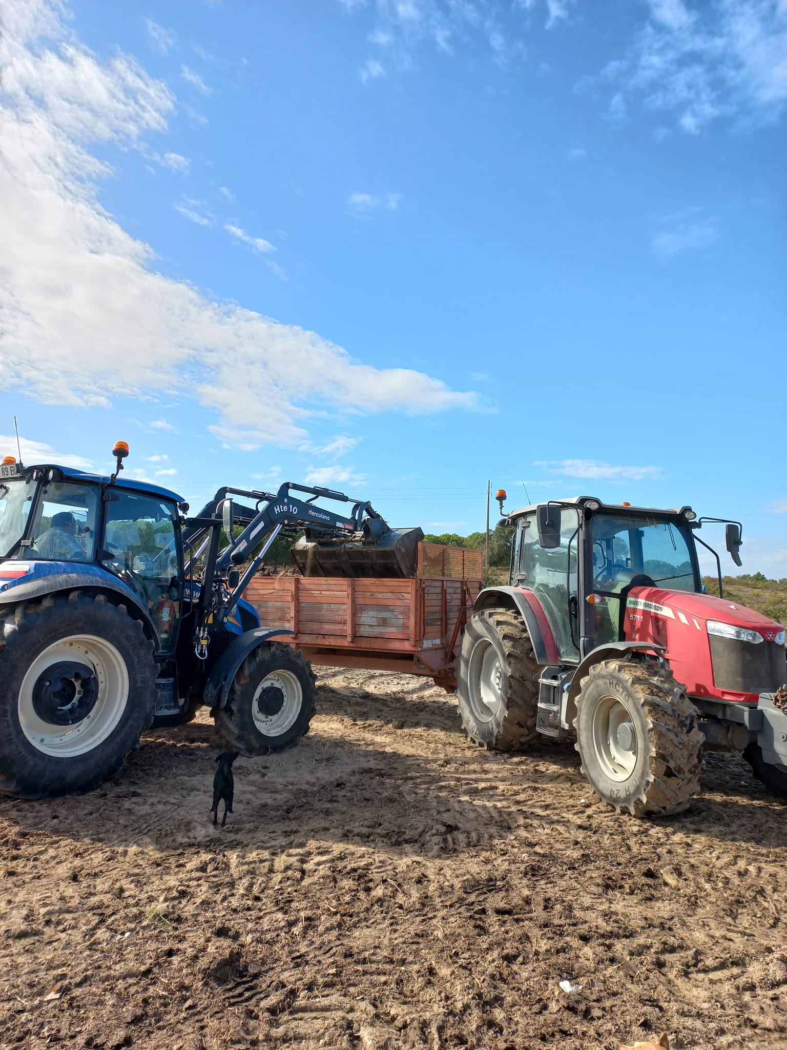 Prestação de serviços agrícolas