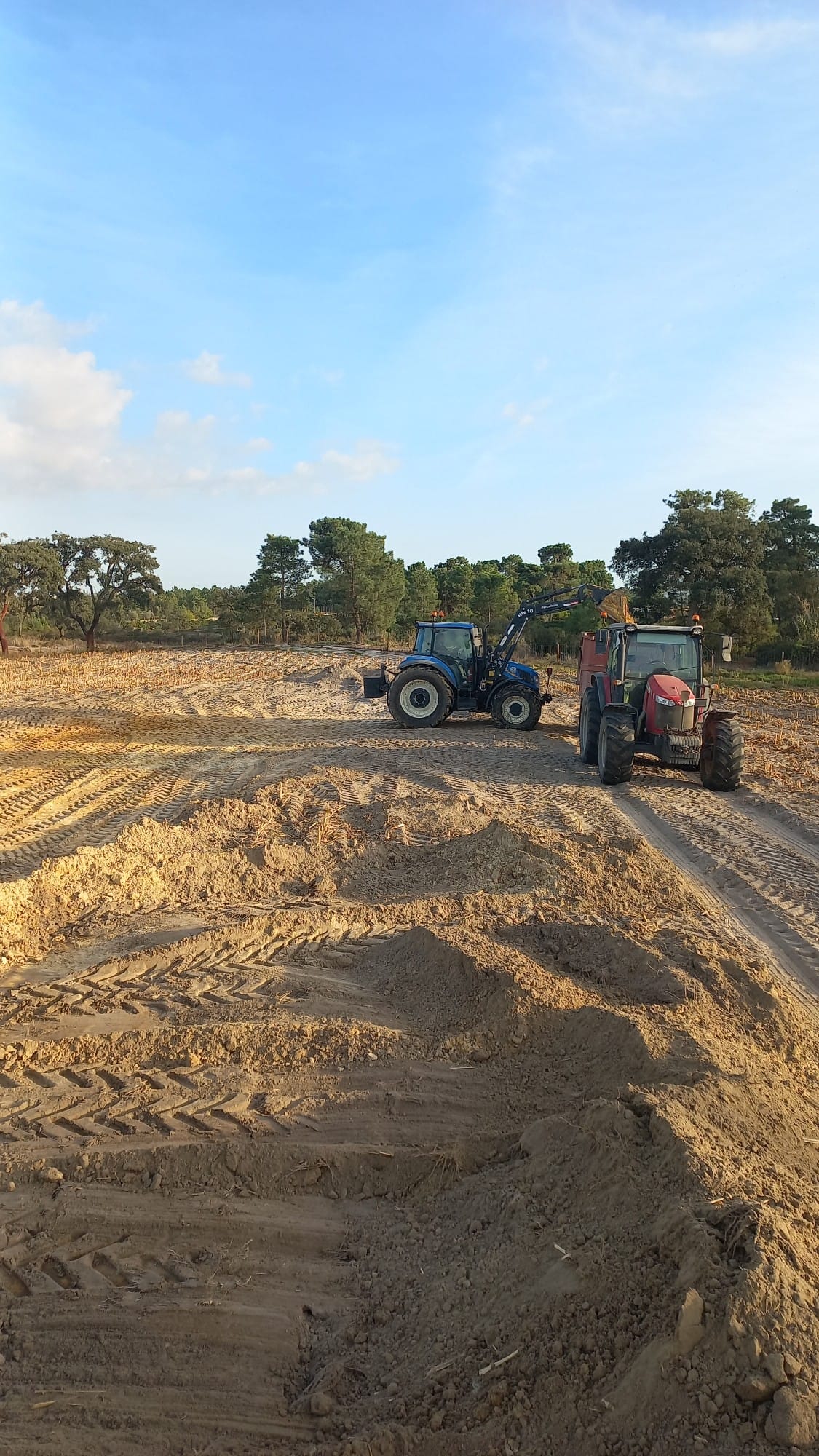 Prestação de serviços agrícolas